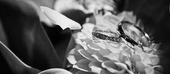 wedding pic